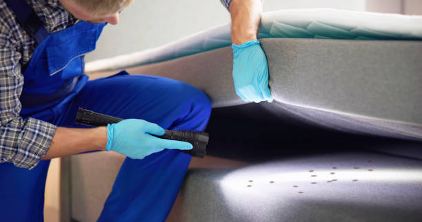 Best Termite Control Services  in Avoca, PA