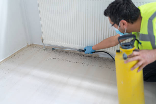 Best Commercial Pest Control Services  in Avoca, PA
