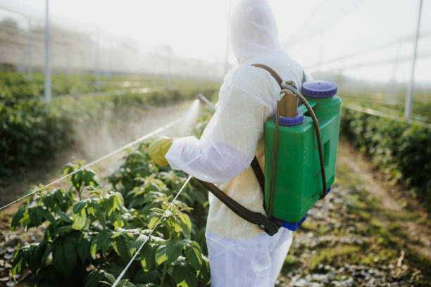 Pest Control for Restaurants in Avoca, PA